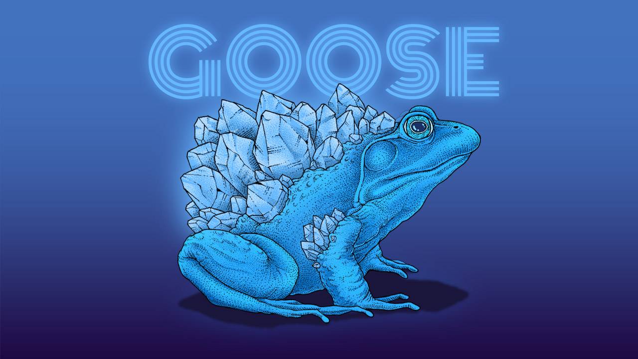 Stream Goose LIVE on LiveOne Music, Podcasts and more
